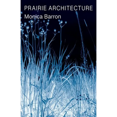 Prairie Architecture
