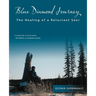 Blue Diamond Journey: The Healing of a Reluctant Seer