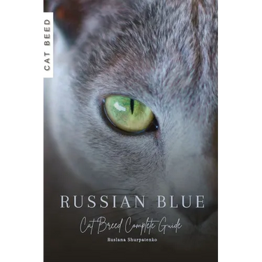 Russian Blue: Cat Breed Complete Guide