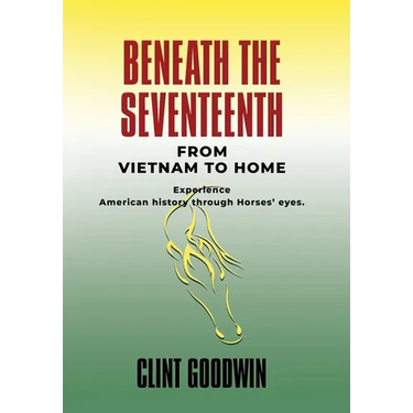 Beneath the Seventeenth: From Vietnam to Home