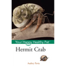 Hermit Crab: Your Happy Healthy Pet