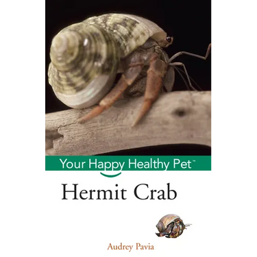 Hermit Crab: Your Happy Healthy Pet