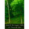 Works Of The Seraphic Father St. Francis Of Assisi