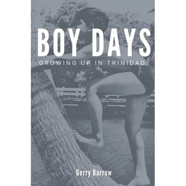 Boy Days