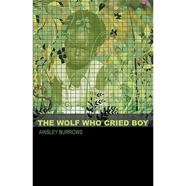 The Wolf Who Cried Boy