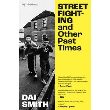Street Fighting and Other Past Times