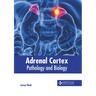 Adrenal Cortex: Pathology and Biology