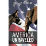 America Unraveled: 2008-2012 The Political, Cultural and Economic Collapse