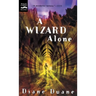 A Wizard Alone
