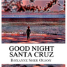 Good Night Santa Cruz
