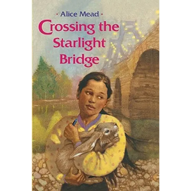Crossing the Starlight Bridge