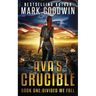 Divided We Fall: A Novel of the Coming Civil War in America