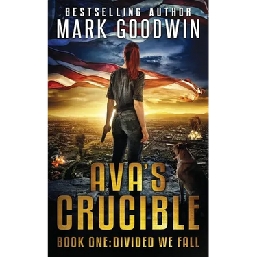 Divided We Fall: A Novel of the Coming Civil War in America
