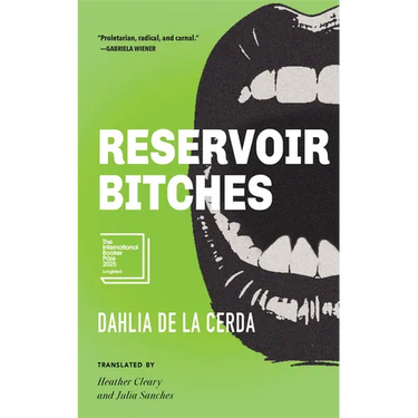 Reservoir Bitches: Stories