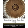 Growing Sugar Cane for Sirup