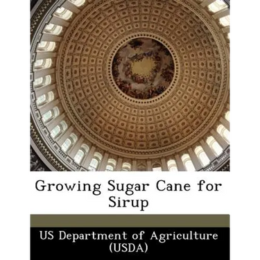 Growing Sugar Cane for Sirup