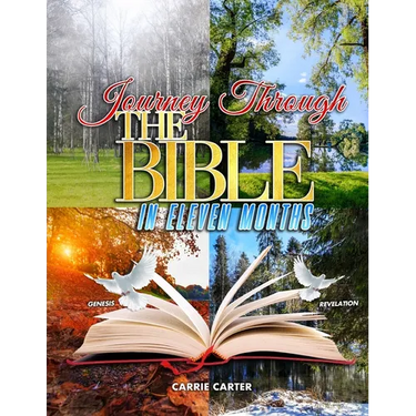 Journey Through the Bible in Eleven Months