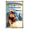 Condor Mountain: Sometimes Horses Need a Little Magic