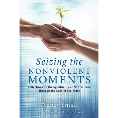 Seizing the Nonviolent Moments: Reflections on the Spirituality of Nonviolence Through the Lens of Scripture