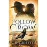Follow the Crow (Vanished, #1)