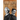 The Scientific Adventures of Mark Twain and Nikola Tesla