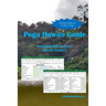 Pega How-to Guide: Exporting Data to Excel (How-to Version)