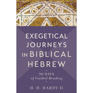 Exegetical Journeys in Biblical Hebrew: 90 Days of Guided Reading