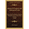 Manual Of Tropical And Subtropical Fruits: Excluding The Banana, Coconut, Pineapple, Citrus Fruits, Olive And Fig (1920)