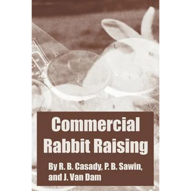 Commercial Rabbit Raising