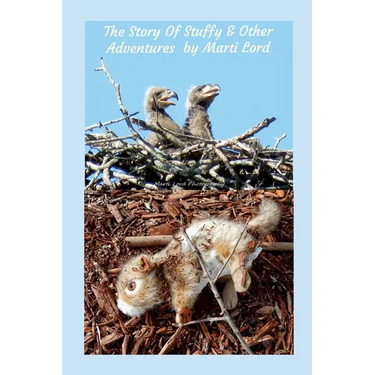The Story of Stuffy & Other Adventures