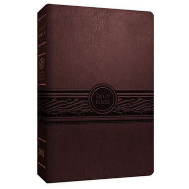 Personal Size Large Print Bible-Mev