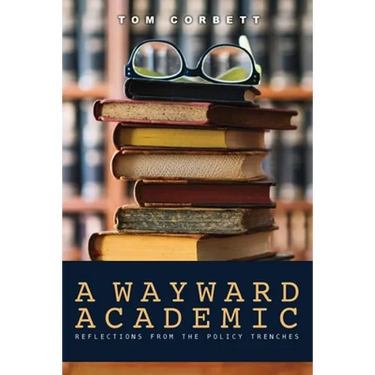 A Wayward Academic: Reflections from the policy trenches