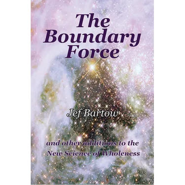 The Boundary Force