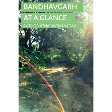 Bandhavgarh At a Glance