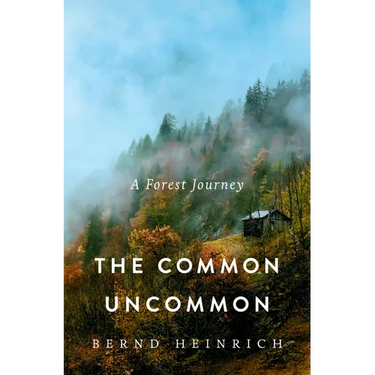 The Common Uncommon: A Forest Journey