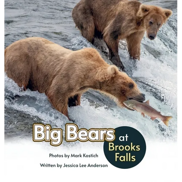 Big Bears at Brooks Falls