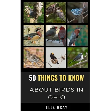 50 Things to Know About Birds in Ohio: Birding in the Buckeye State