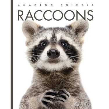 Raccoons