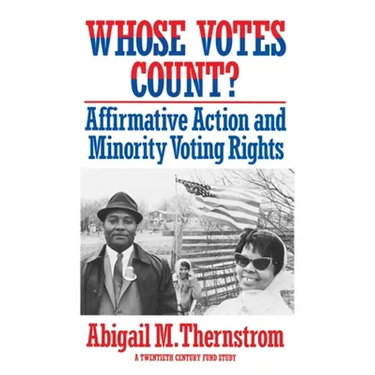 Whose Votes Count?: Affirmative Action and Minority Voting Rights