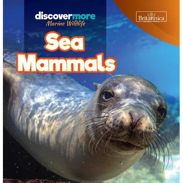 Sea Mammals