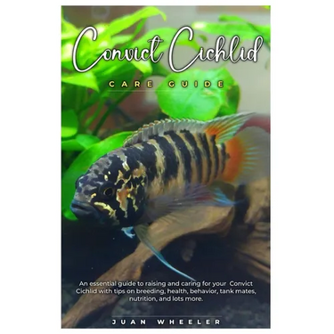 Convict Cichlid Care Guide: An essential guide to raising and caring for your Convict Cichlid with tips on breeding, health, behavior, tank mates,