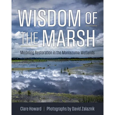 Wisdom of the Marsh: Modeling Restoration in the Montezuma Wetlands