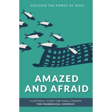 Amazed and Afraid: Discover the Power of Jesus