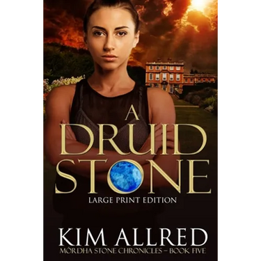 A Druid Stone Large Print: Time Travel Adventure Romance