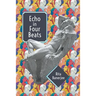 Echo in Four Beats