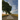 Have a Great Dream: Book 1; The Overview