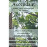 Ascendant: Modern Essays on Polytheism and Theology