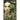 Eve: In the Beginning