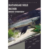 Katangae Nile Bichir: From Novice to Expert. Comprehensive Aquarium Fish Guide