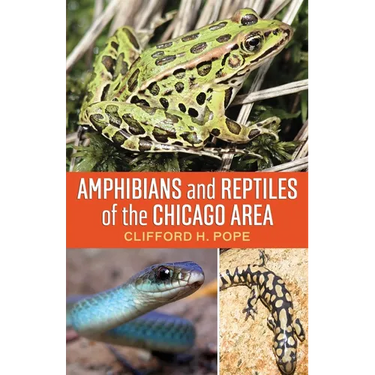 Amphibians and Reptiles of the Chicago Area